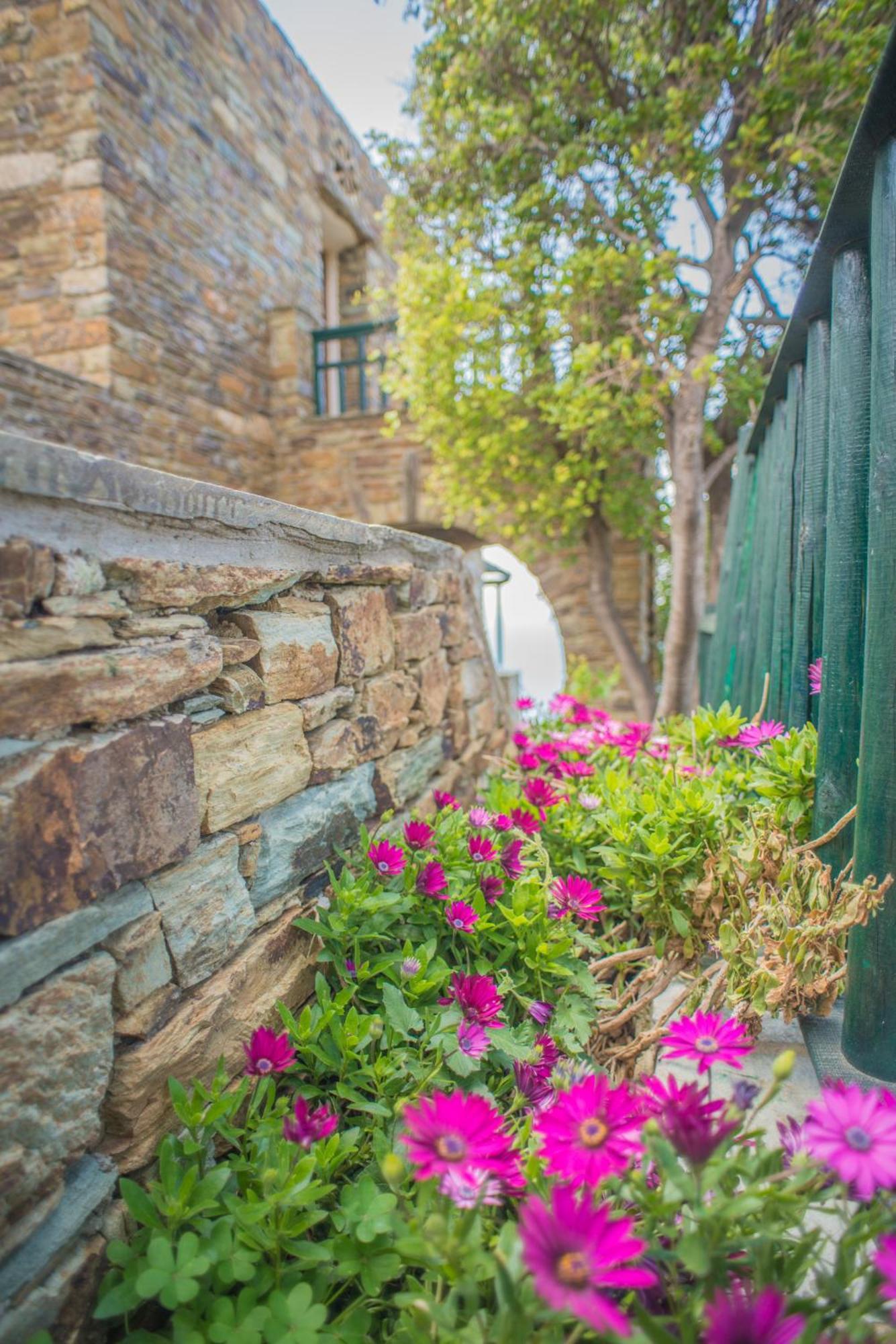 Althea Archontika Tis Androu Apartment Batsi Exterior photo